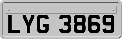 LYG3869