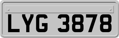 LYG3878