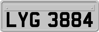 LYG3884