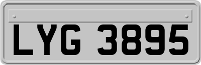 LYG3895