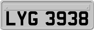 LYG3938
