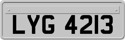LYG4213