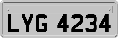 LYG4234