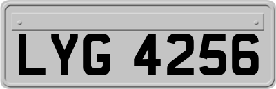 LYG4256