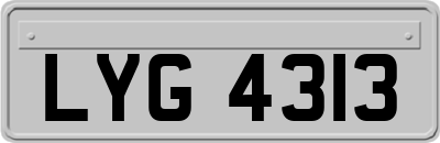 LYG4313