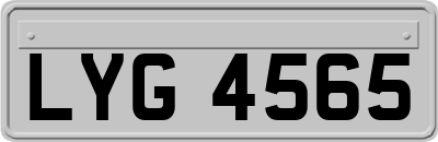 LYG4565