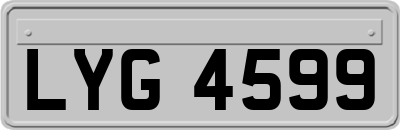 LYG4599