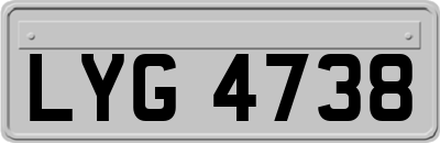LYG4738