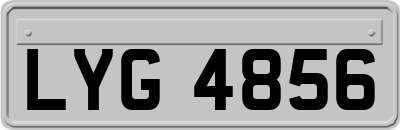 LYG4856