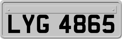 LYG4865