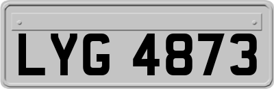 LYG4873