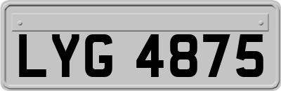 LYG4875