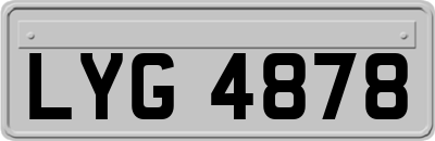 LYG4878