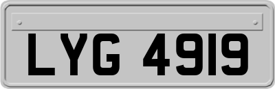 LYG4919