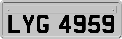 LYG4959