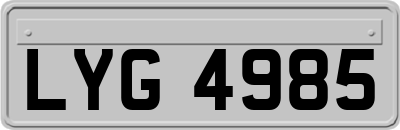 LYG4985