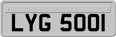 LYG5001