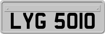 LYG5010