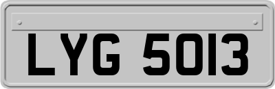 LYG5013
