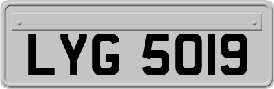 LYG5019