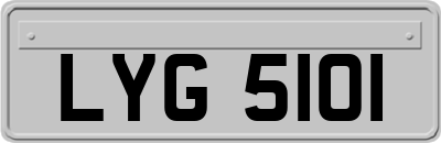 LYG5101
