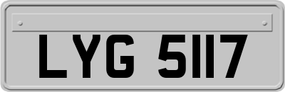 LYG5117