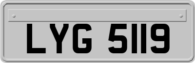 LYG5119