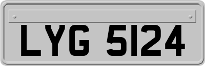 LYG5124