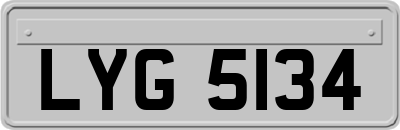 LYG5134