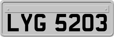 LYG5203