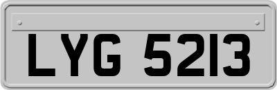 LYG5213