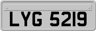 LYG5219