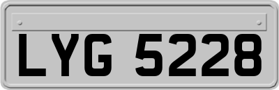 LYG5228