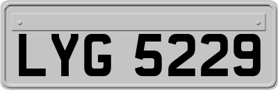 LYG5229