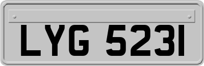 LYG5231
