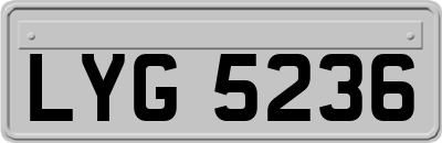 LYG5236