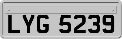 LYG5239