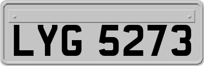 LYG5273