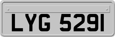 LYG5291