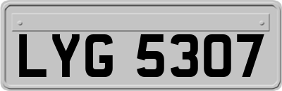 LYG5307