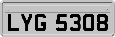 LYG5308