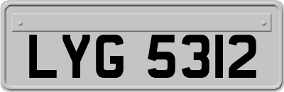 LYG5312