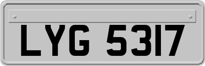 LYG5317