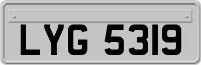 LYG5319