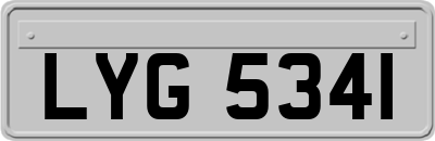 LYG5341