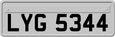 LYG5344