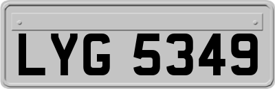 LYG5349