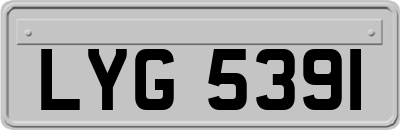 LYG5391