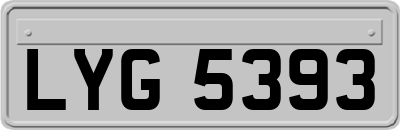 LYG5393