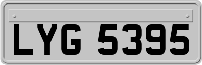 LYG5395